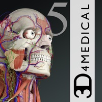 Download Essential Anatomy 5 Free Mac Cracked